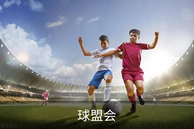 球盟会公司介绍图片